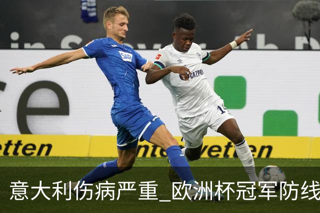 意大利伤病严重 欧洲杯冠军防线或全部无法上场